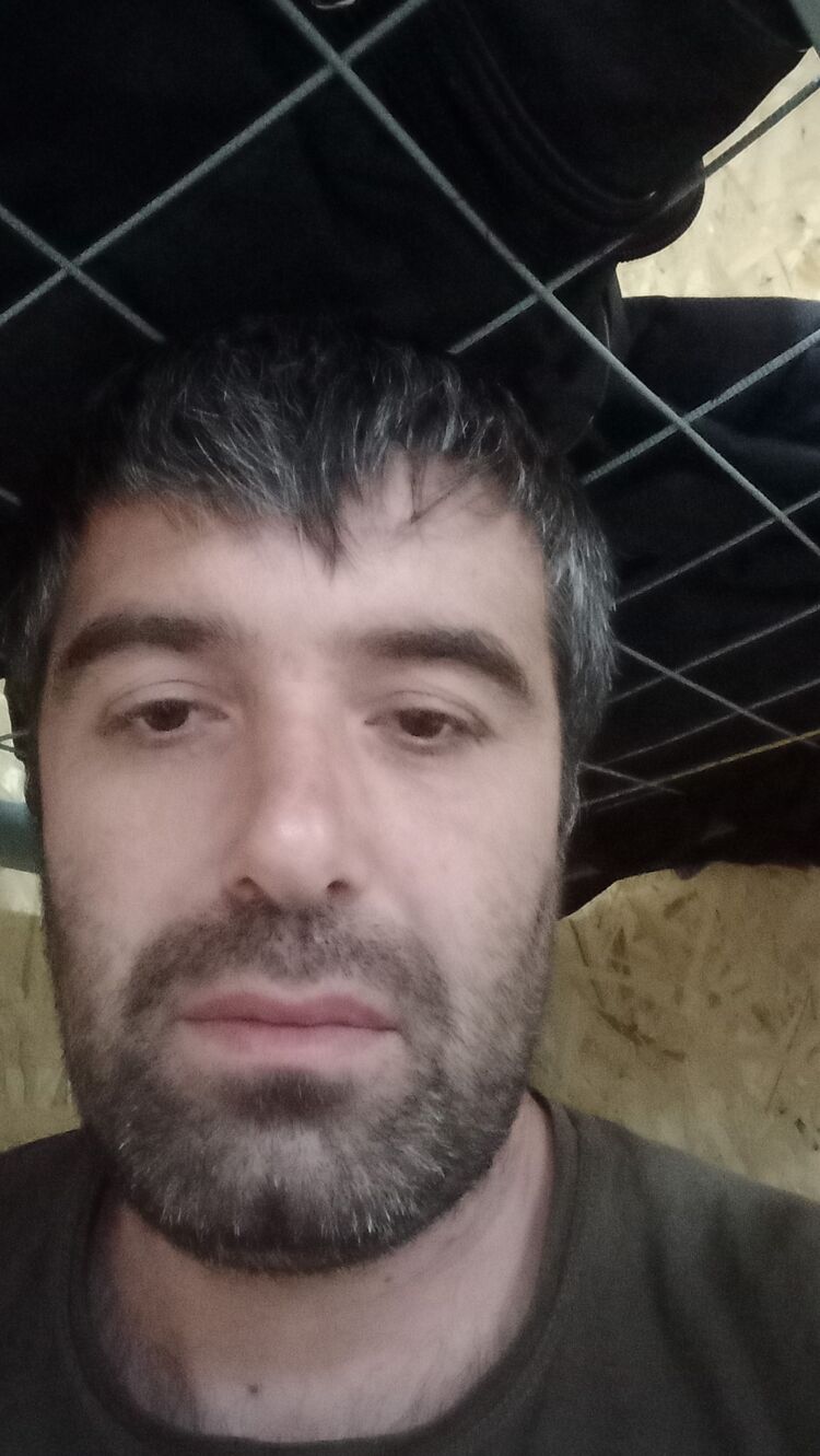  47614931  , 37 ,    