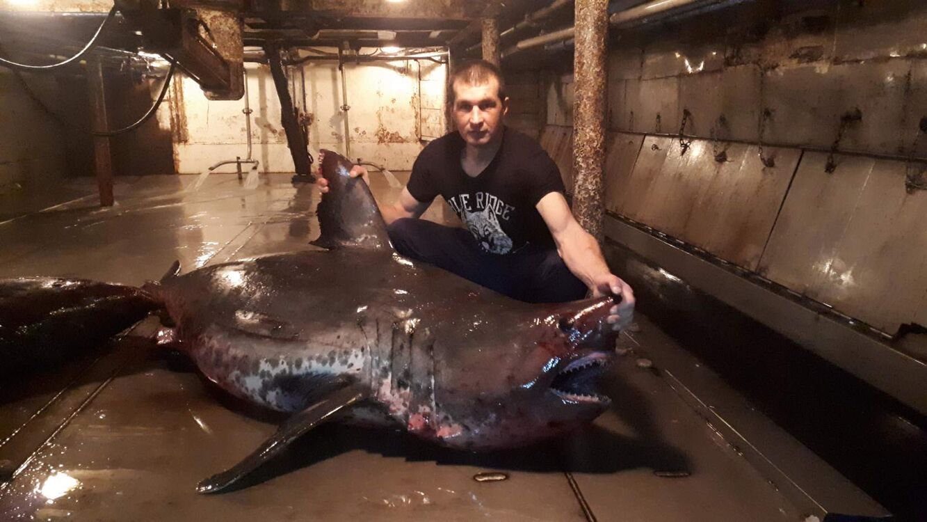 ���������� �������������-����������, ���� ������� ����, 41 ���, ������������ 