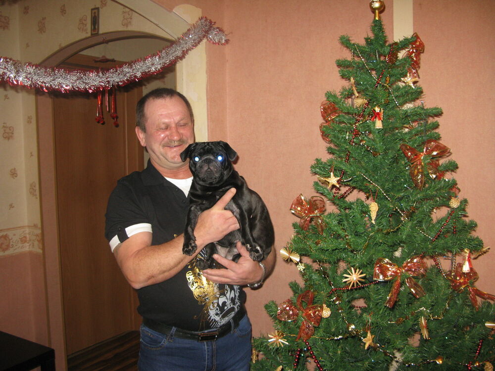  8671331  Sergei, 64 ,    