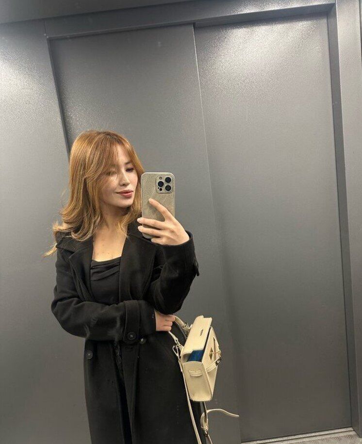 ���� 55455311 ������� C�������, 33 ����, ���� ���������� � ���������