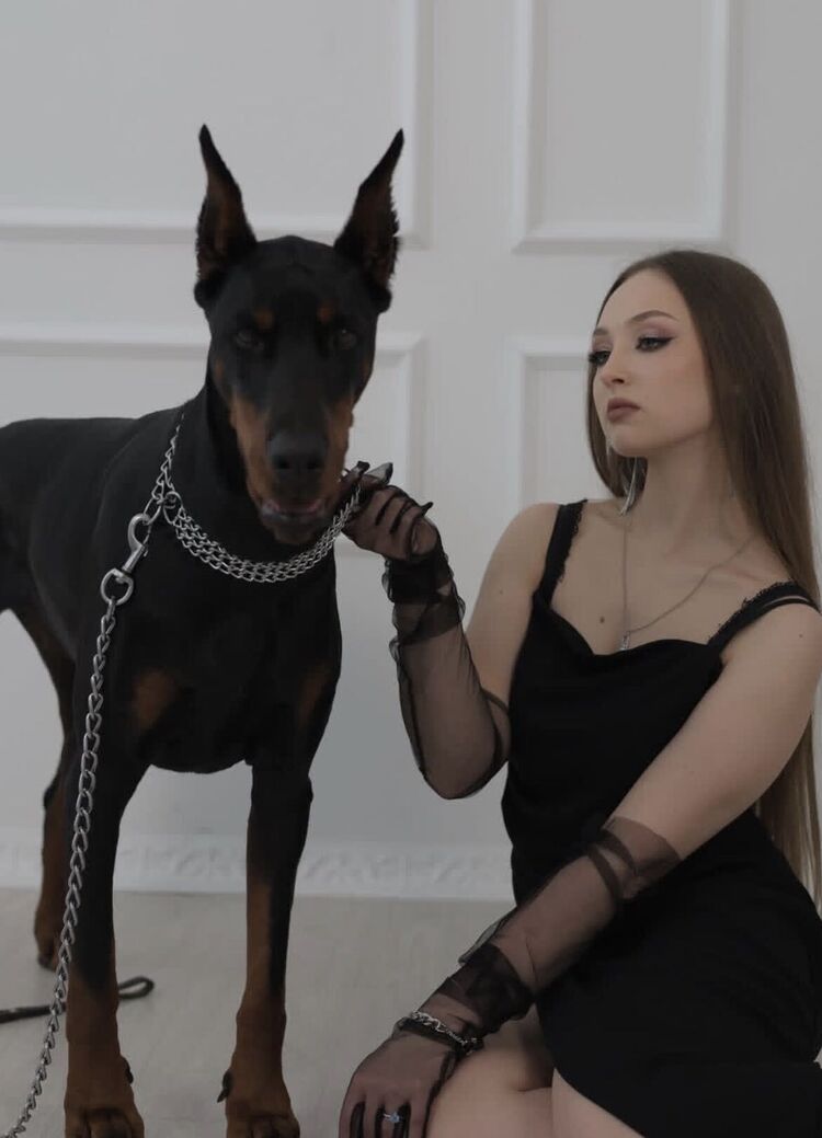 ���������� �����, ���� ������� ����, 18 ���, ������������ 