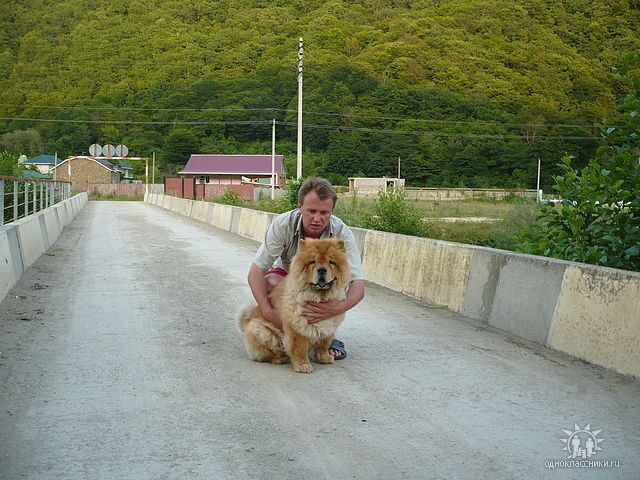 ���� 8851251 ������� ����, 52 ����, ���� ���������� � ���������