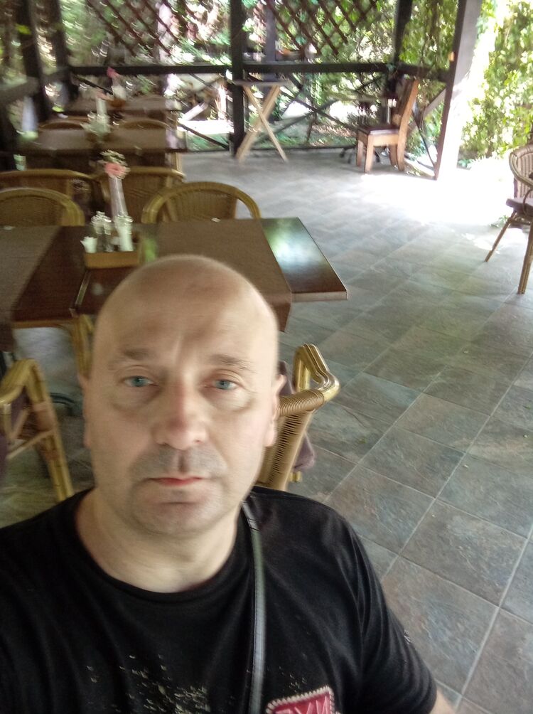  51955231  , 44 ,    