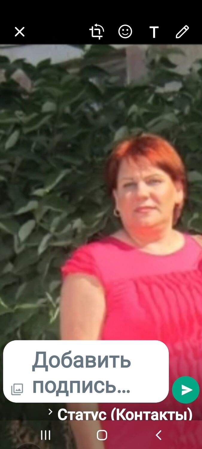 ���� 37811471 ������� �������, 58 ���, ���� ���������� � ������������