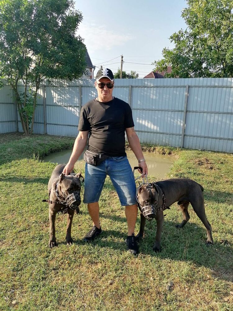 ���������� ���������, ���� ������� ����, 50 ���, ������������ ��� ������, ����� � ���������