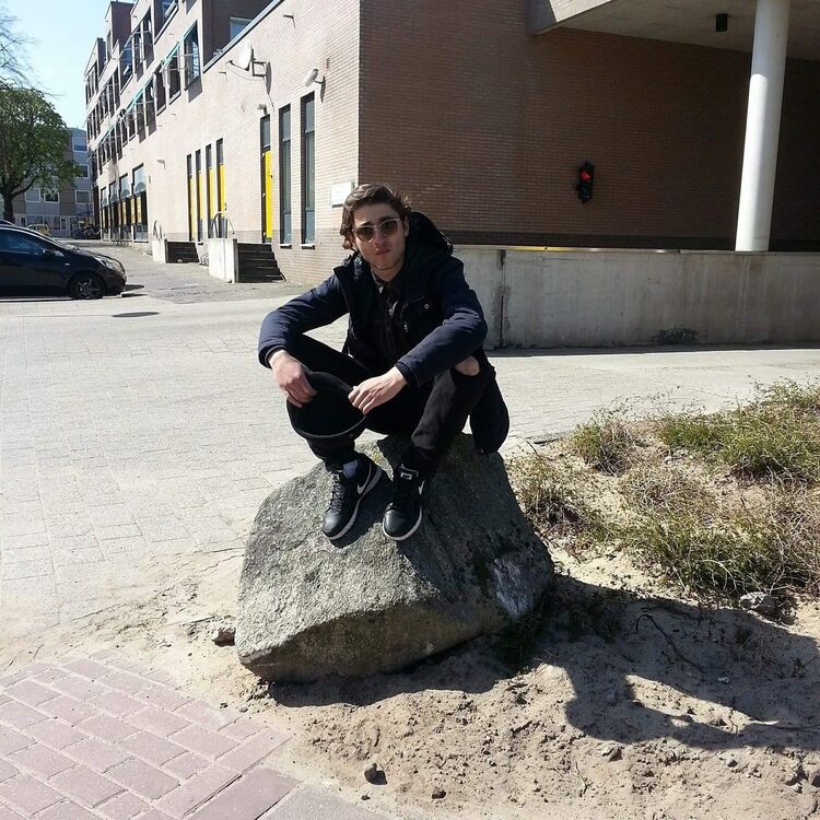 ���� 19294311 ������� Temo, 32 ����, ���� ���������� � �������