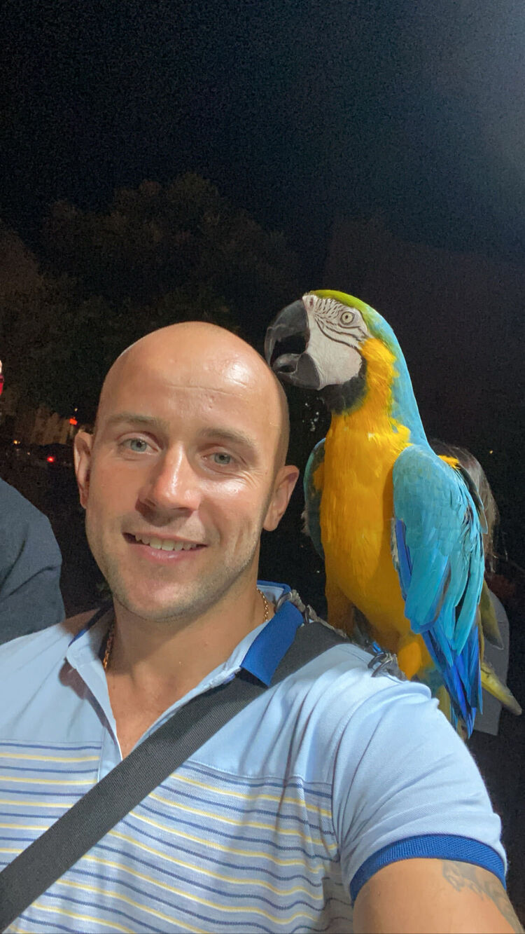 ���������� �����������, ���� ������� ��������, 37 ���, ������������ ��� ������, ����� � ���������