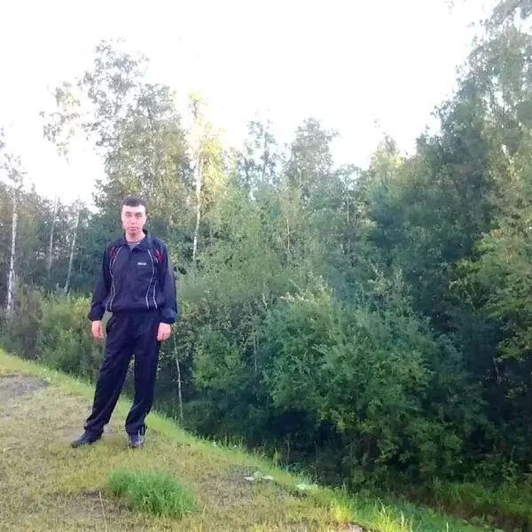  28993521  , 52 ,    -