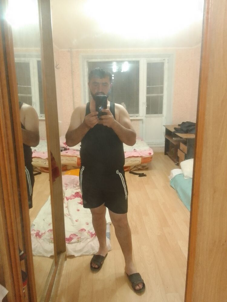  43003541  , 31 ,    