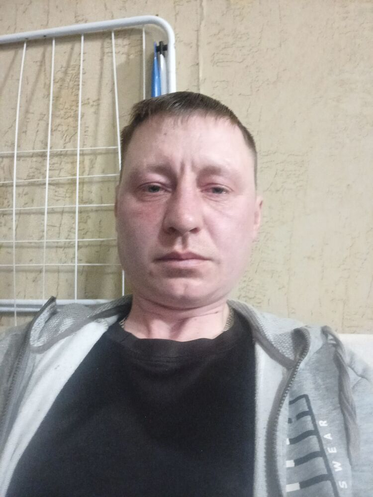  53995521  , 38 ,    -