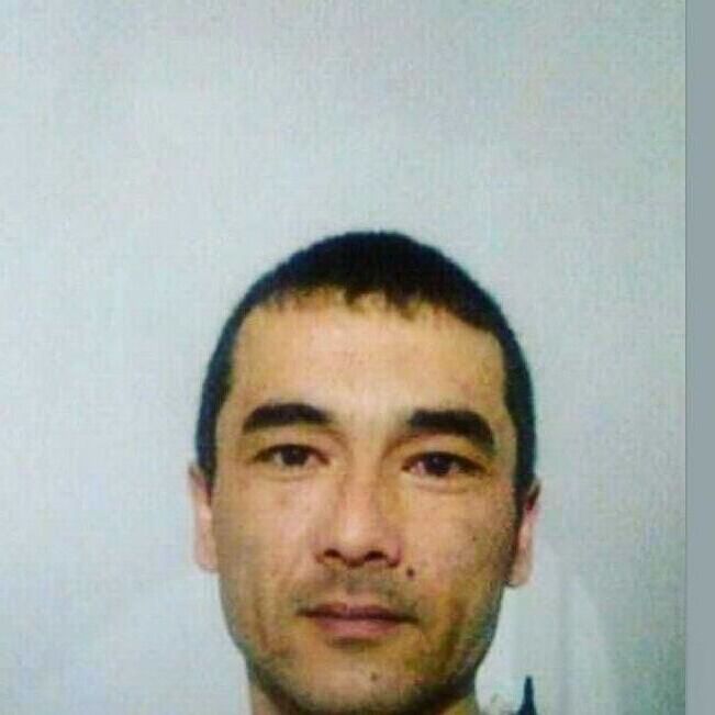 ���� 31003761 ������� ����, 32 ����, ���� ���������� � ��������