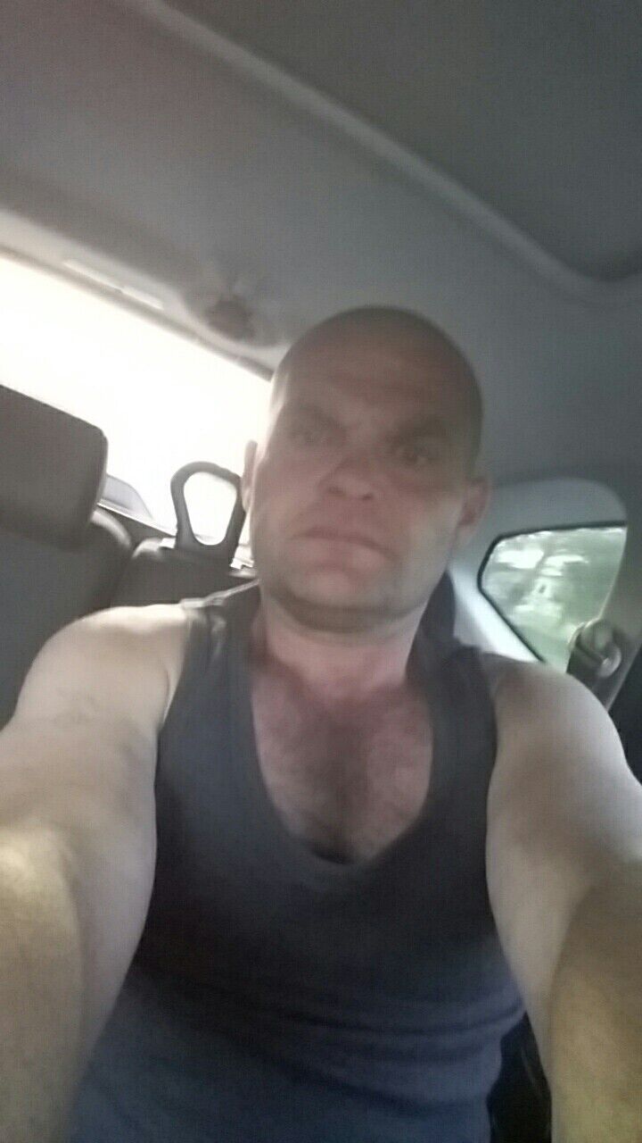  23199091  , 43 ,    
