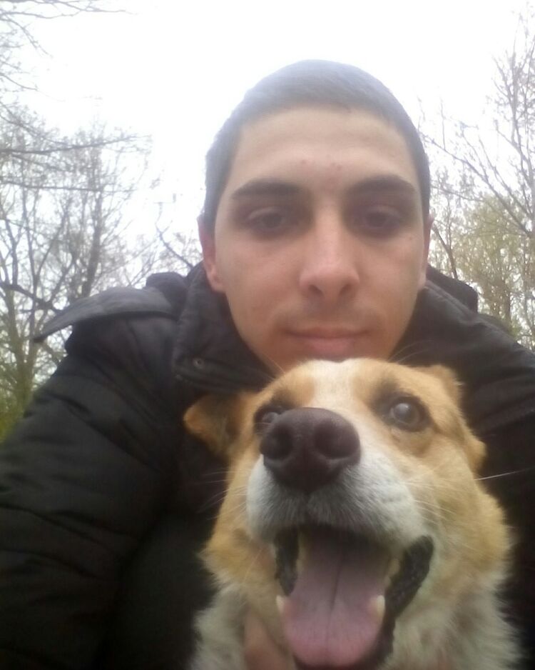 ���� 10031081 ������� ����, 33 ����, ���� ���������� � ������