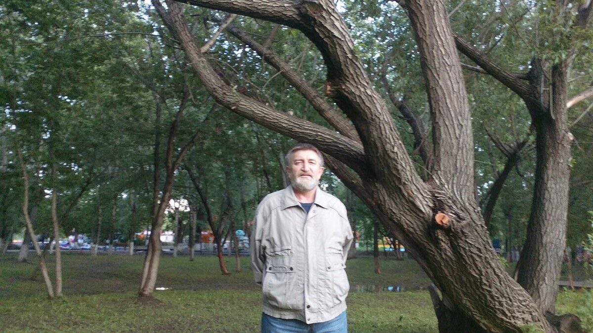  ,   , 66 ,   