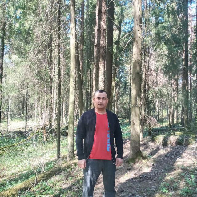 ���� 46700501 ������� �����, 33 ����, ���� ���������� � �����-����������