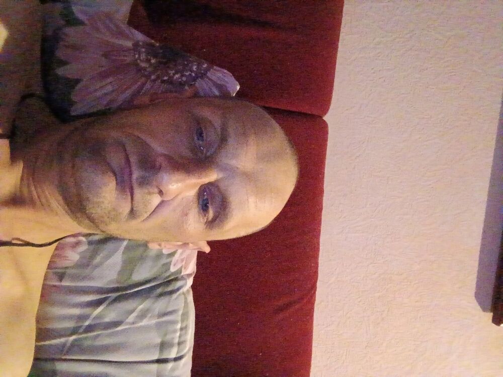  36603951  , 41 ,    