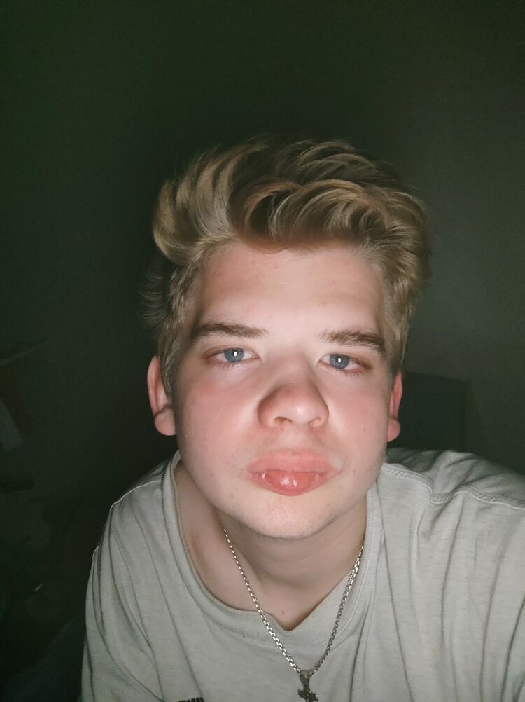  28968401  , 22 ,    -