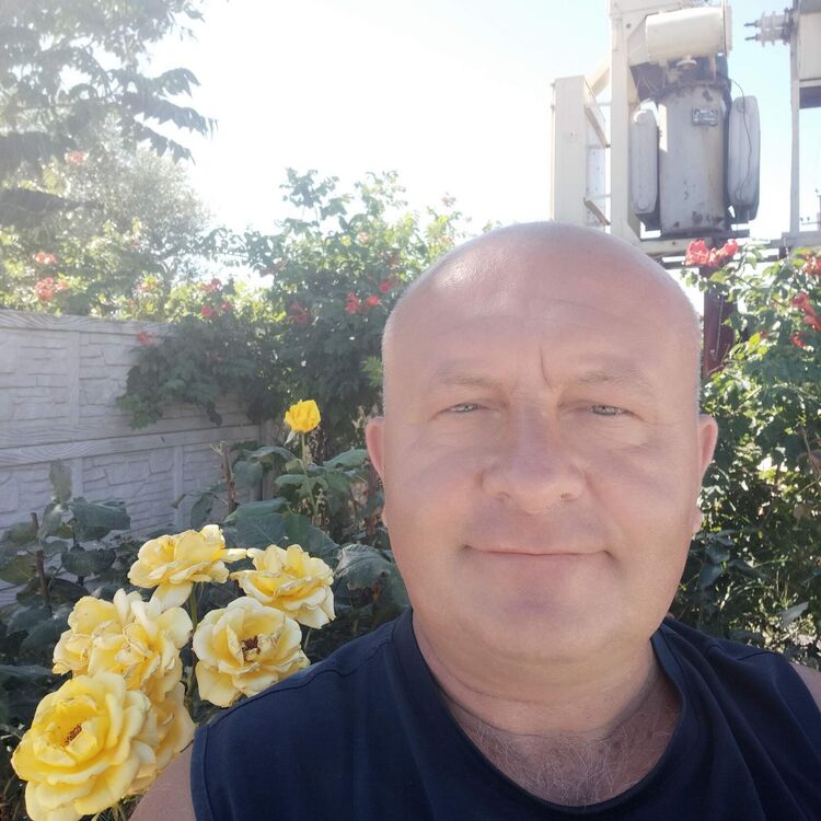  42386901  , 54 ,    