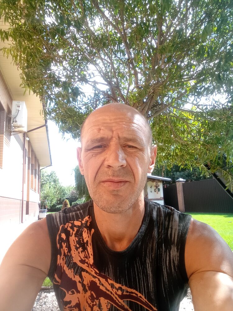 45529931  , 46 ,    