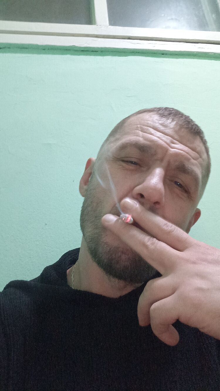  31502941  , 53 ,    -