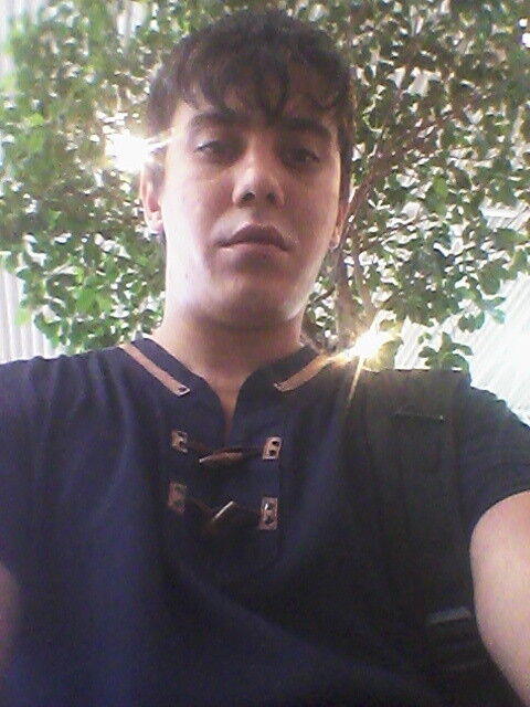 10273271  , 31 ,    
