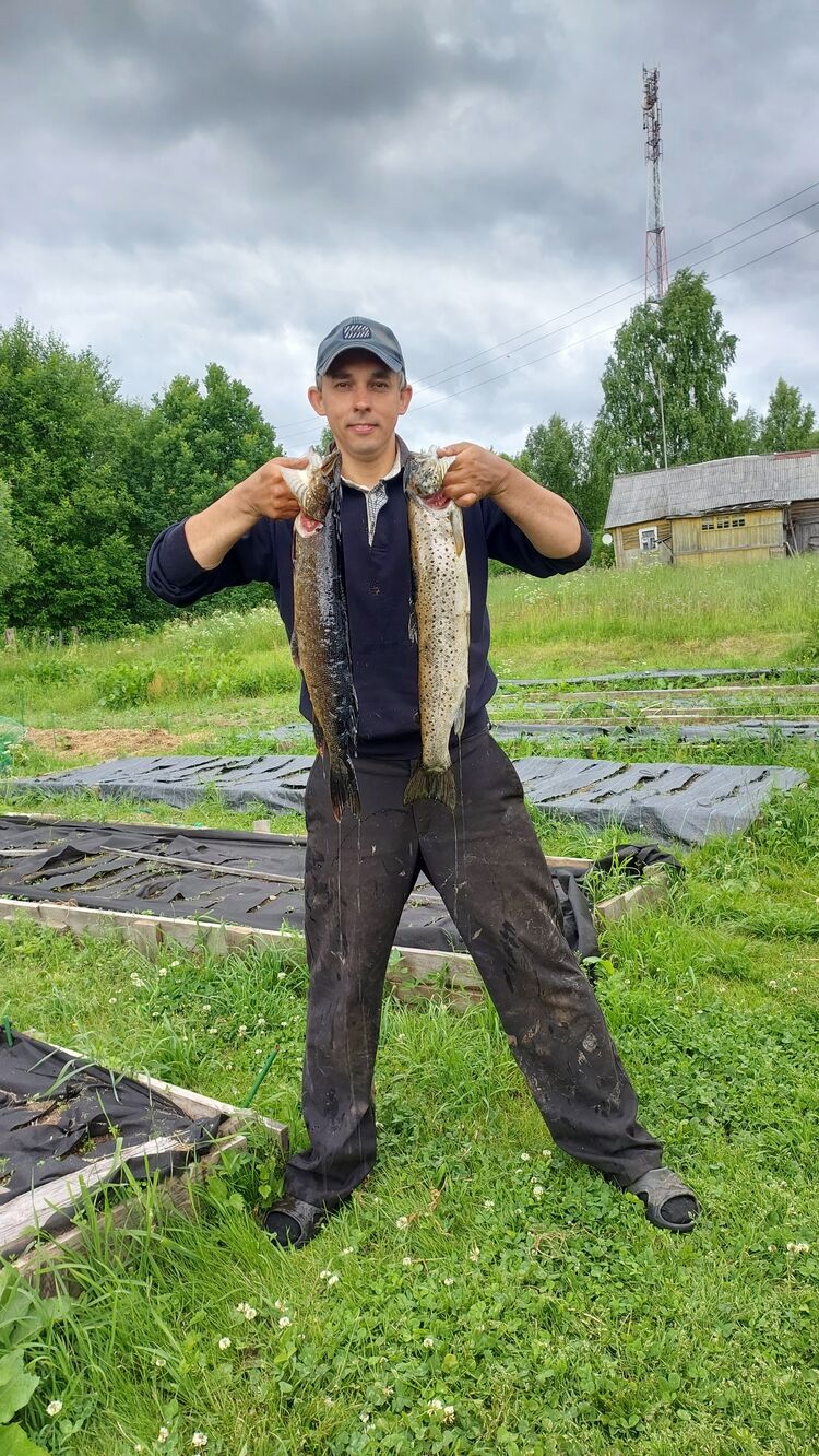 ���������� �����-���������, ���� ������� �����, 41 ���, ������������ ��� c�������� ���������, ���������