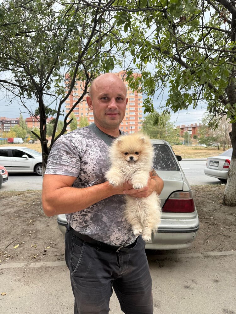  --,   , 41 ,   ,   , c 