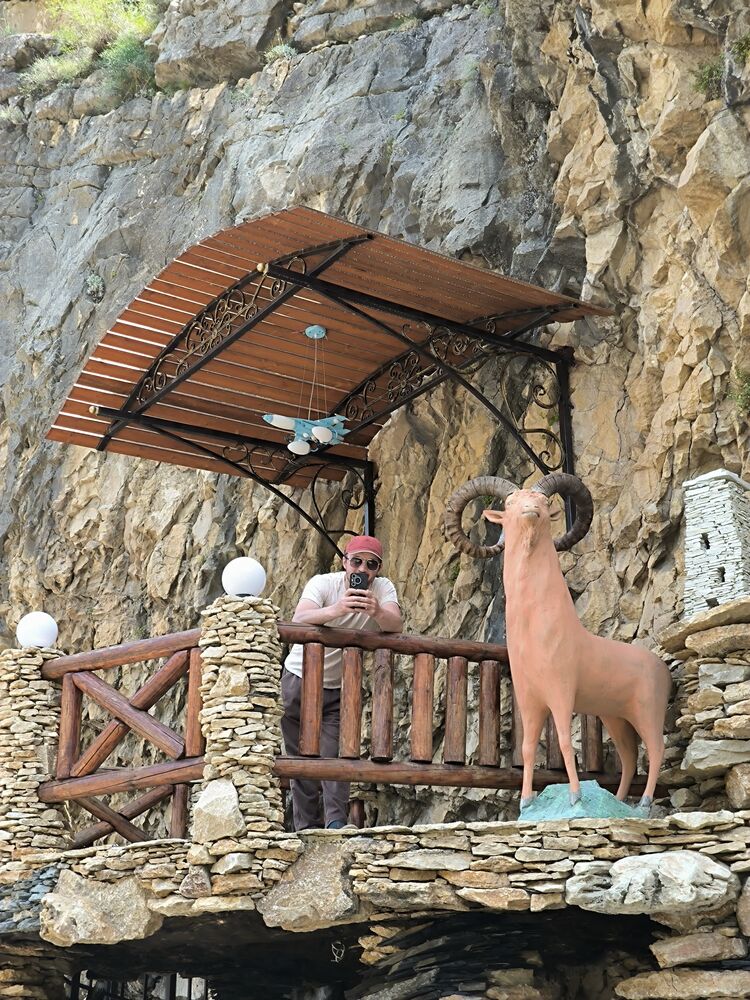 ���������� ���������, ���� ������� ������, 31 ���, ������������ ��� ������, ����� � ���������, c�������� ���������, ���������