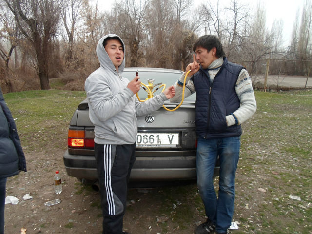  4108231  Alisher, 38 ,    