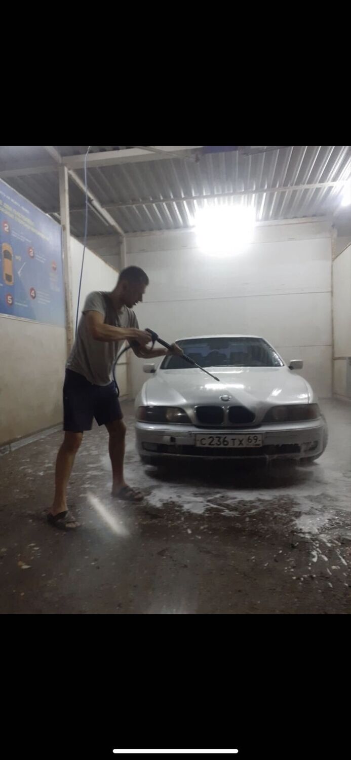  31491431  , 31 ,    