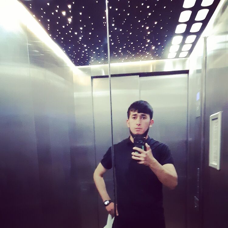  35379031  , 28 ,    