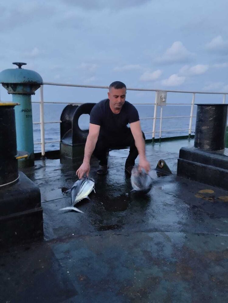 ���� 40411411 ������� Sadiq, 43 ����, ���� ���������� � ����