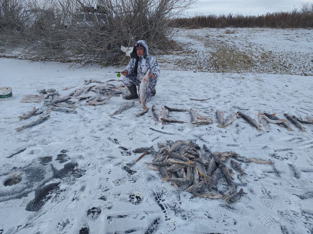 ���� 54878971 ������� ������, 45 ���, ���� ���������� � ������