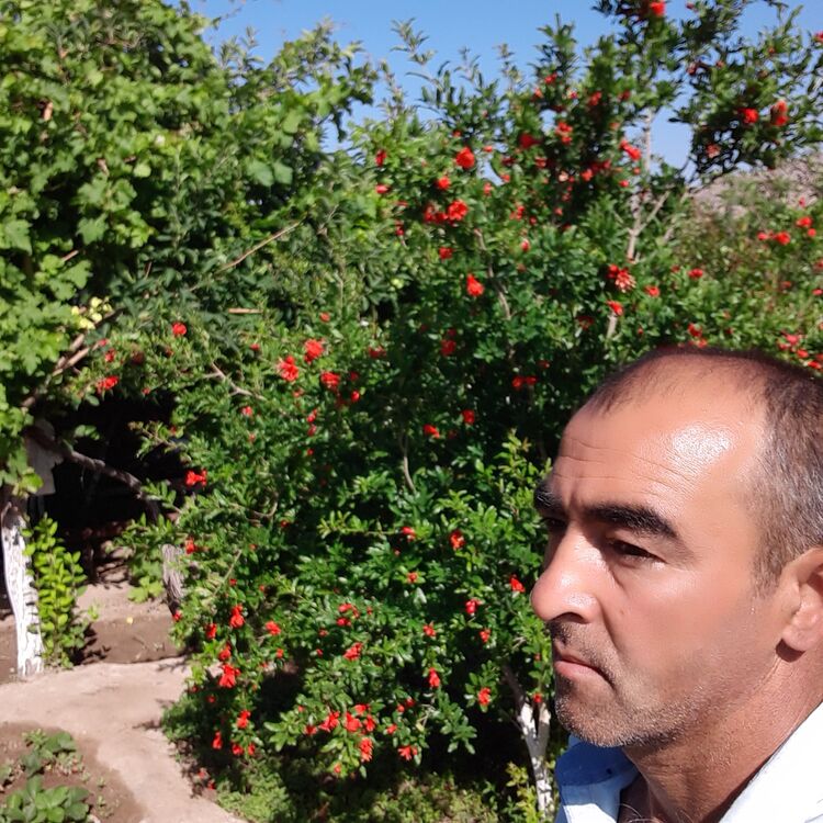  ,   , 48 ,   