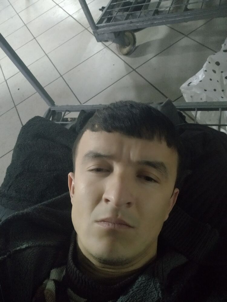 ���� 26406601 ������� ����, 34 ����, ���� ���������� � ������