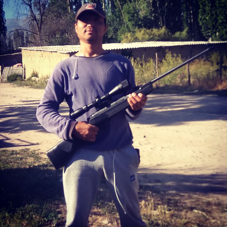 ���� 23332731 ������� �������, 31 ���, ���� ���������� � �������