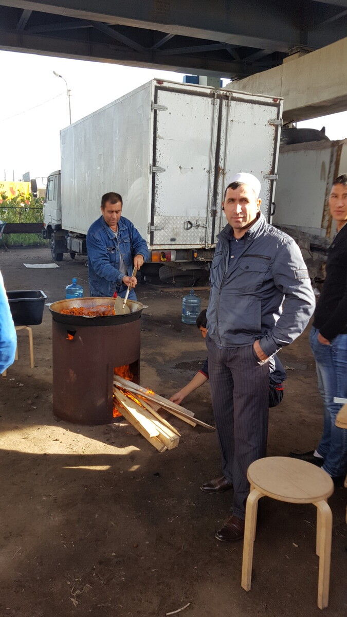  8365881  , 49 ,    -