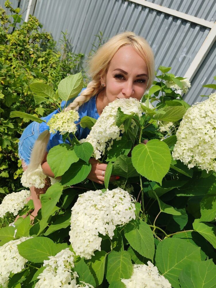 ���������� ������, ���� ������� �������, 36 ���, ������������ ��� ����� � ���������, c�������� ���������, ���������