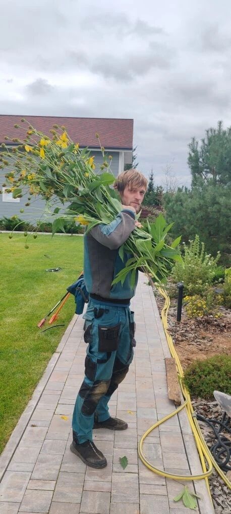 ���������� ��������, ���� ������� ������, 35 ���, ������������ ��� ������, ����� � ���������, c�������� ���������, ���������