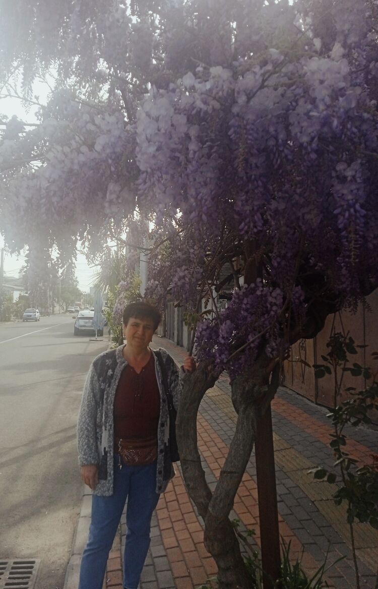  26743621  Ksenia, 53 ,    