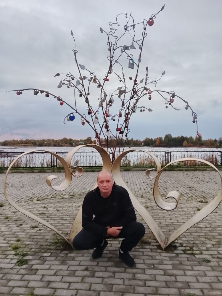  54433861  , 55 ,    -