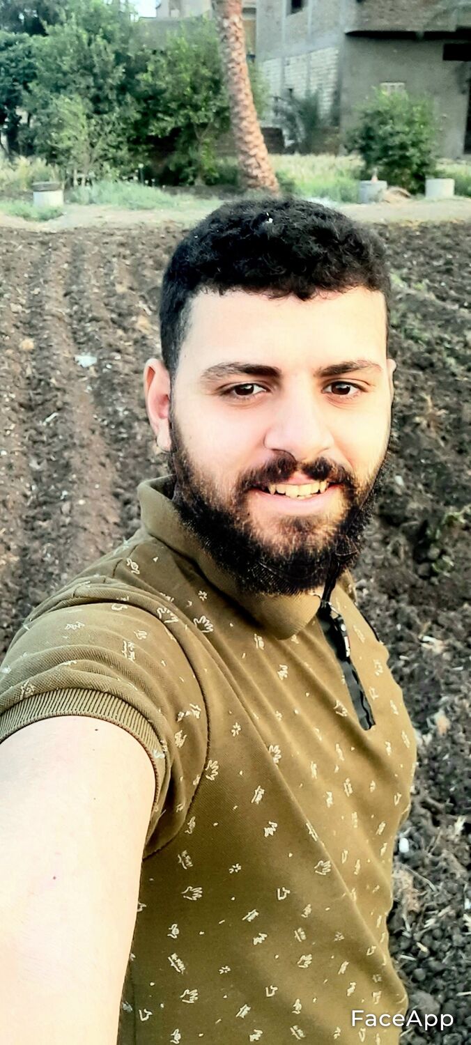 26828831  Hakim, 23 ,    Al Ghardaqah