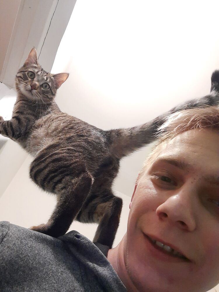 ���������� ���������, ���� ������� �������, 30 ���, ������������ ��� ������, ����� � ���������, c�������� ���������