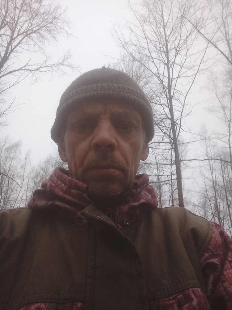  39163941  , 50 ,    