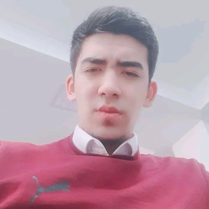 ���� 24538801 ������� �������, 28 ���, ���� ���������� � ��������