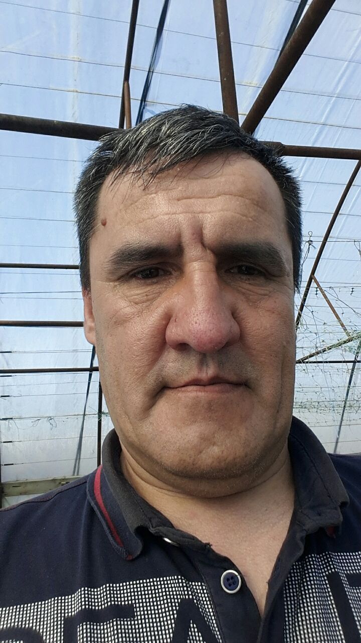  31538181  , 48 ,    