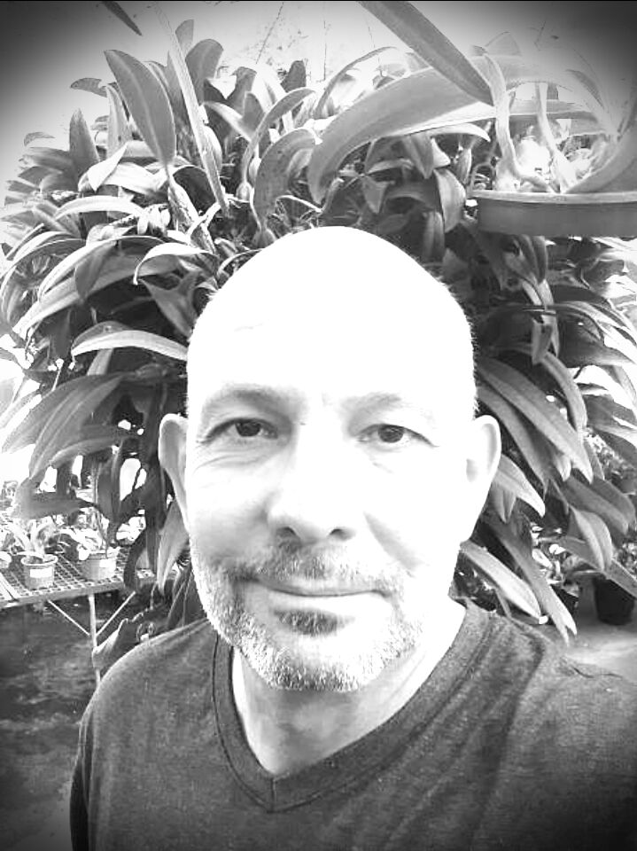 ���� 55637501 ������� �������, 48 ���, ���� ���������� � �������