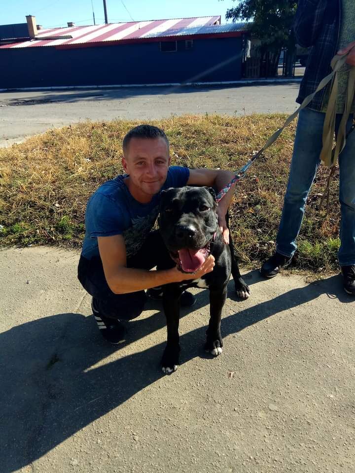 ���� 24911031 ������� �������, 39 ���, ���� ���������� � ���������