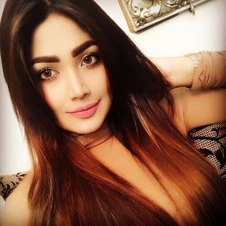 ���� 56031181 ������� �������, 23 ����, ���� ���������� � ������