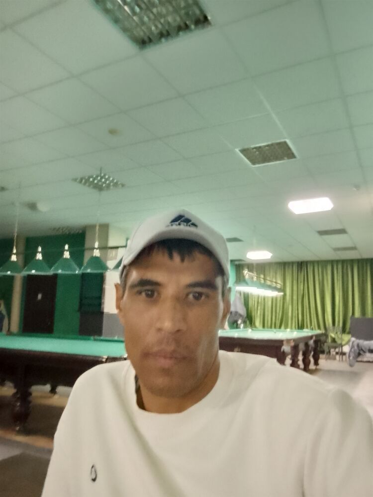 50238241  , 41 ,    --